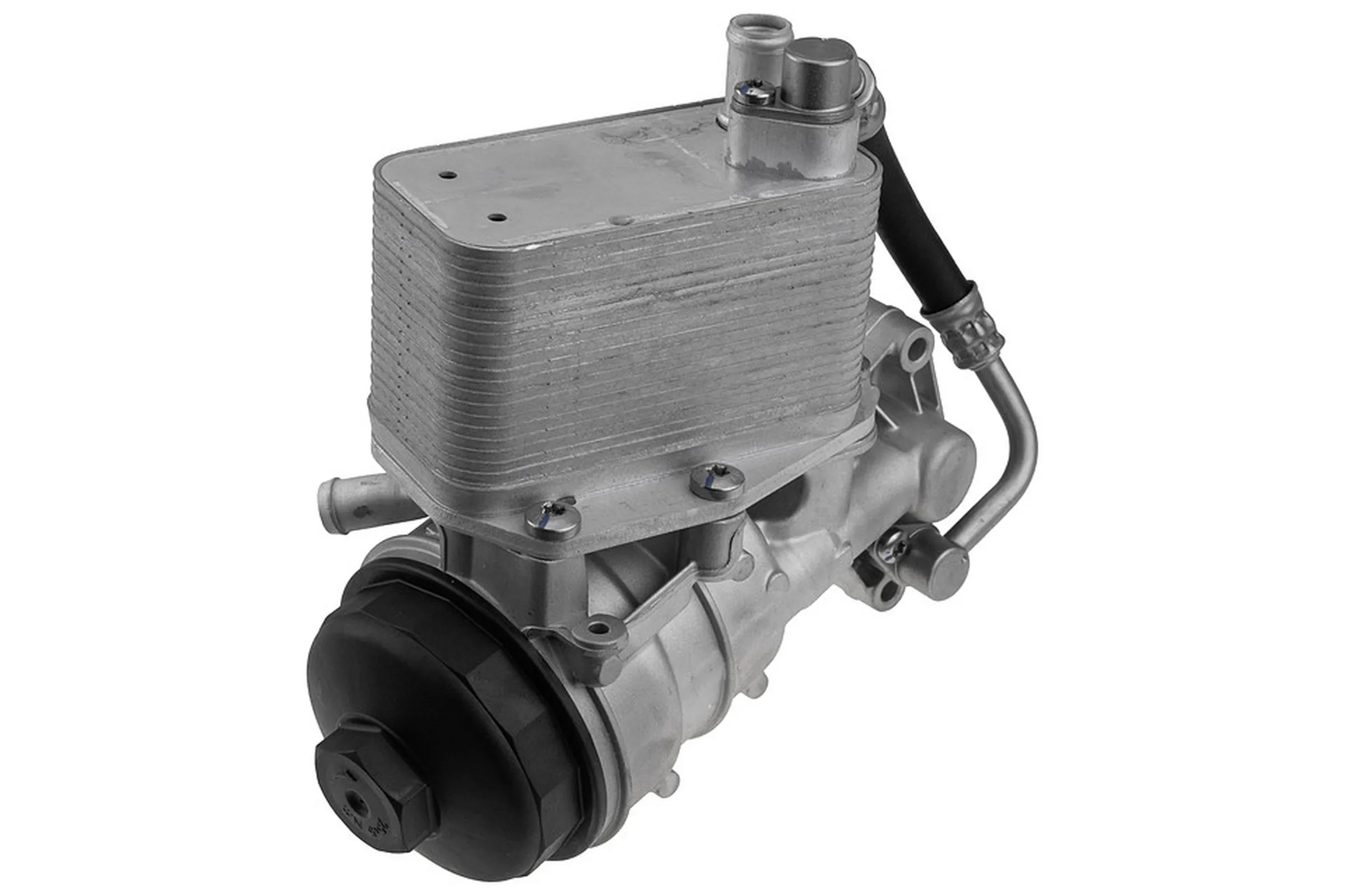 Oil cooler, engine oil