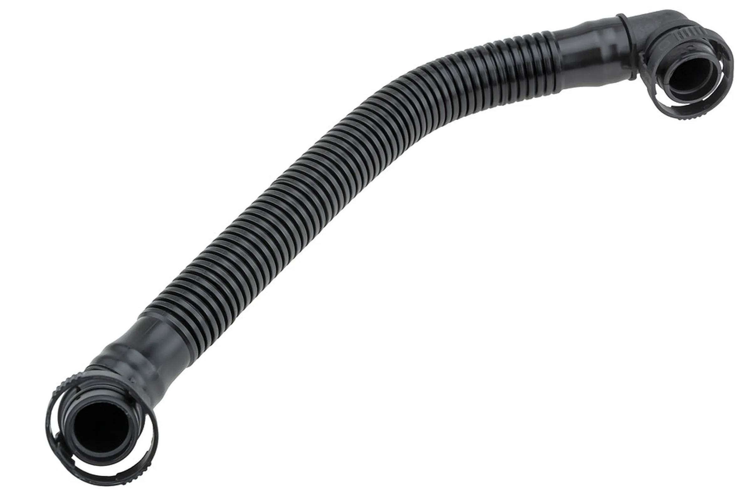 Hose, cylinder head cover ventilation