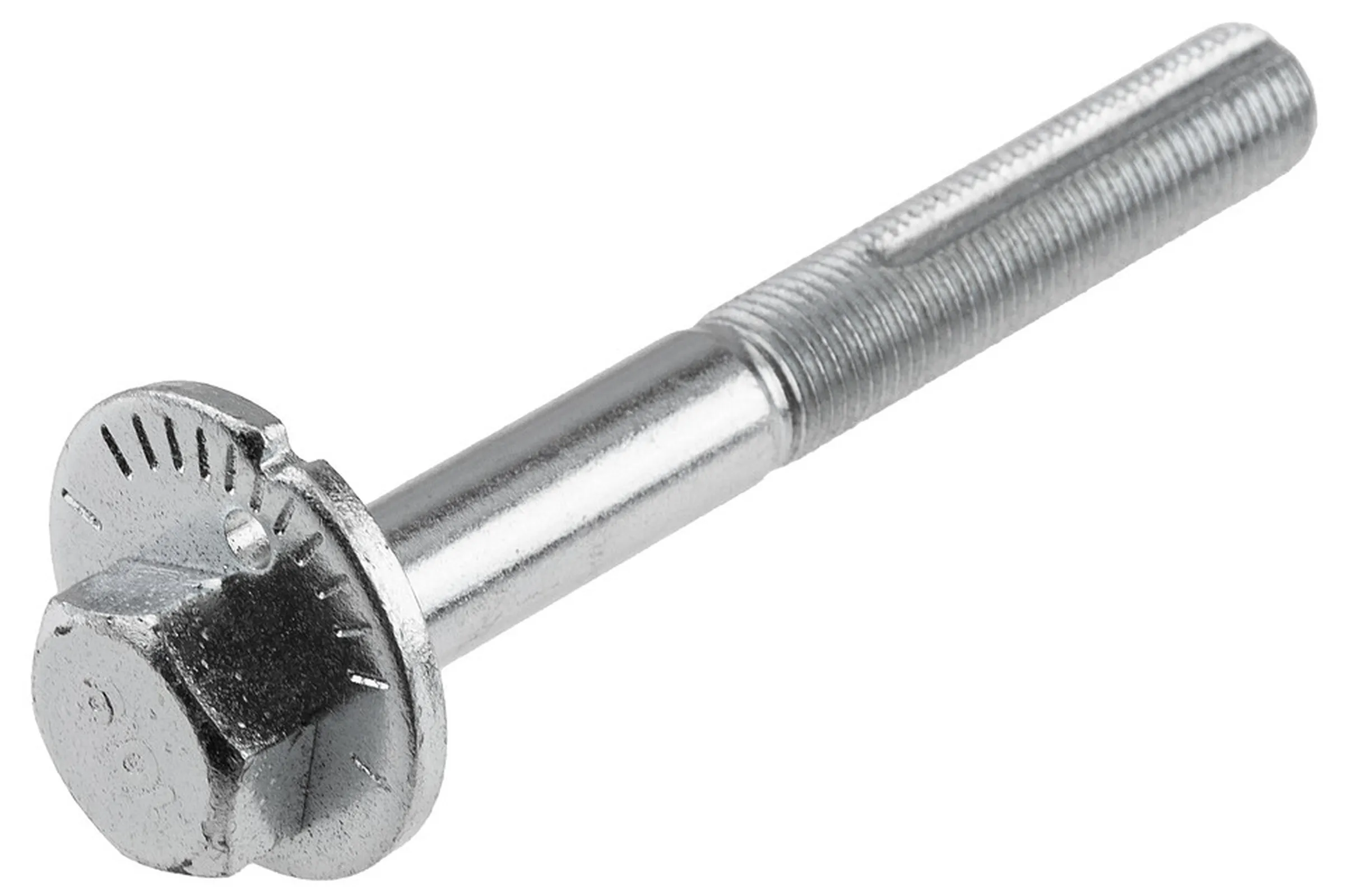Camber correction screw